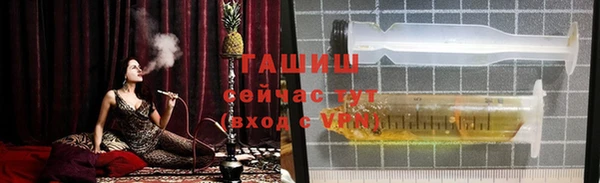 a pvp Бородино