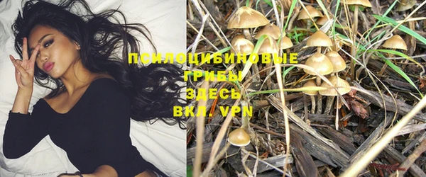 дмт Бугульма