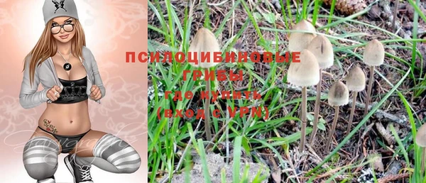 дмт Бугульма