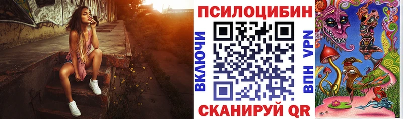 Галлюциногенные грибы Psilocybe  цена   Тбилисская 